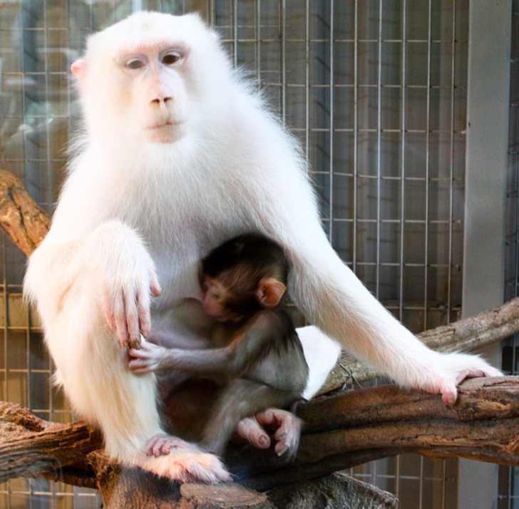 0228b45f29a310afbd0bcd0e3a