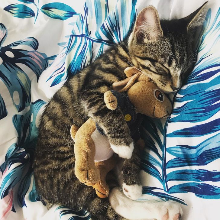 022d195318aa3de8aacad4290f