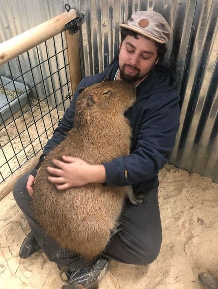 022ebe5a30a1f620daaefdebda