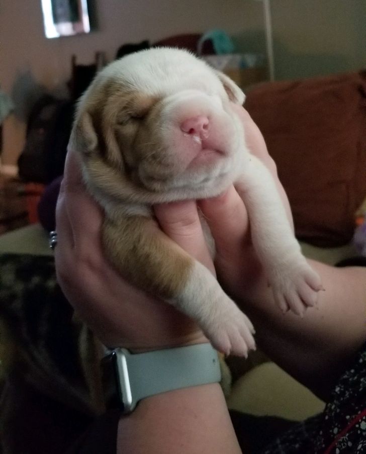 0230a25a01bbb5ffdab11fb55c