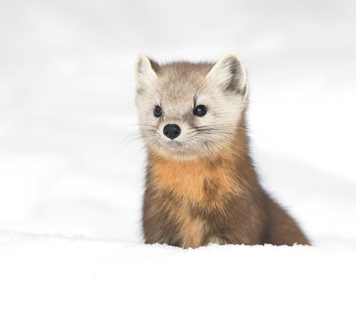 0231355ecca7de4a5697f4a42b