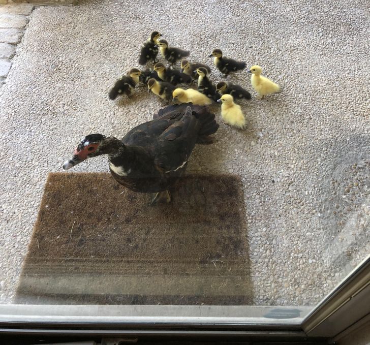 0234795a898e08606d390041da