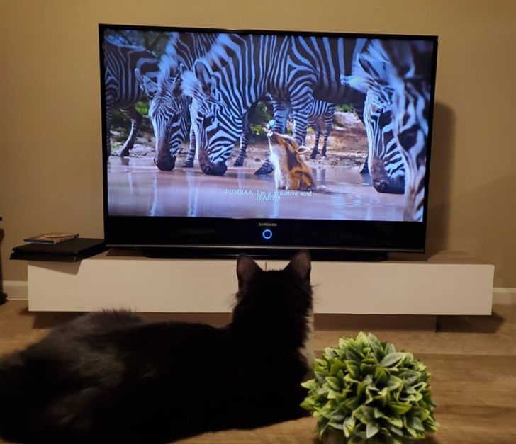 0239dd5bbd829935c7df7ad867