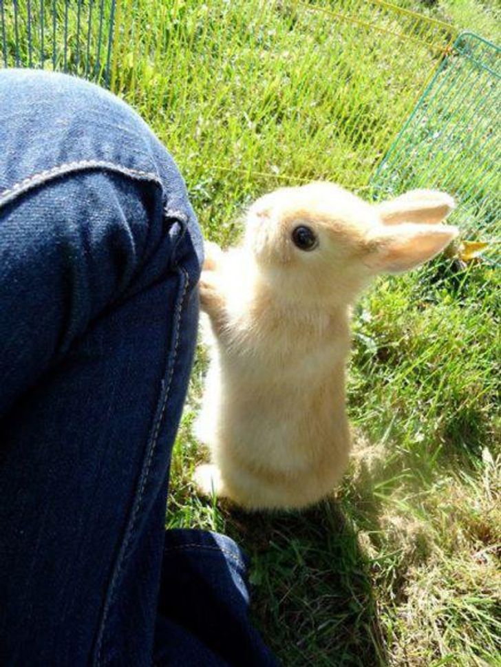 023c535eadaba70fe13eeb1730