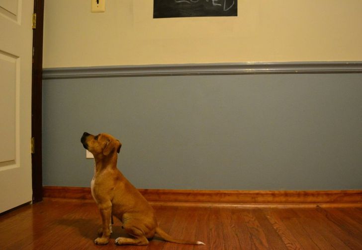 024c2b5fbebaca98cc5f7fb54e