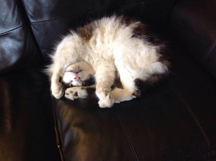 024c56511c87b947c6f9604dab 024c56511c87b947c6f9604dab