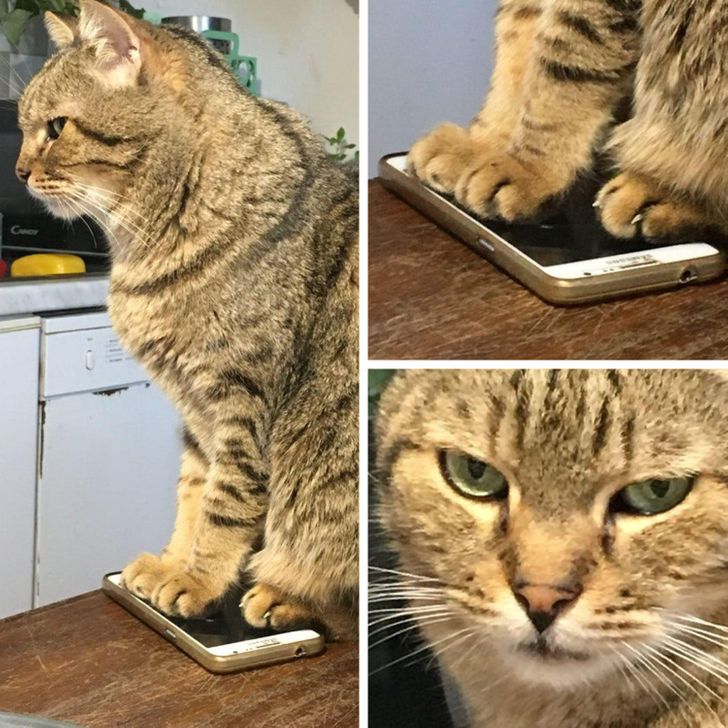 0260e85eb5a5efb96ebee1fb15