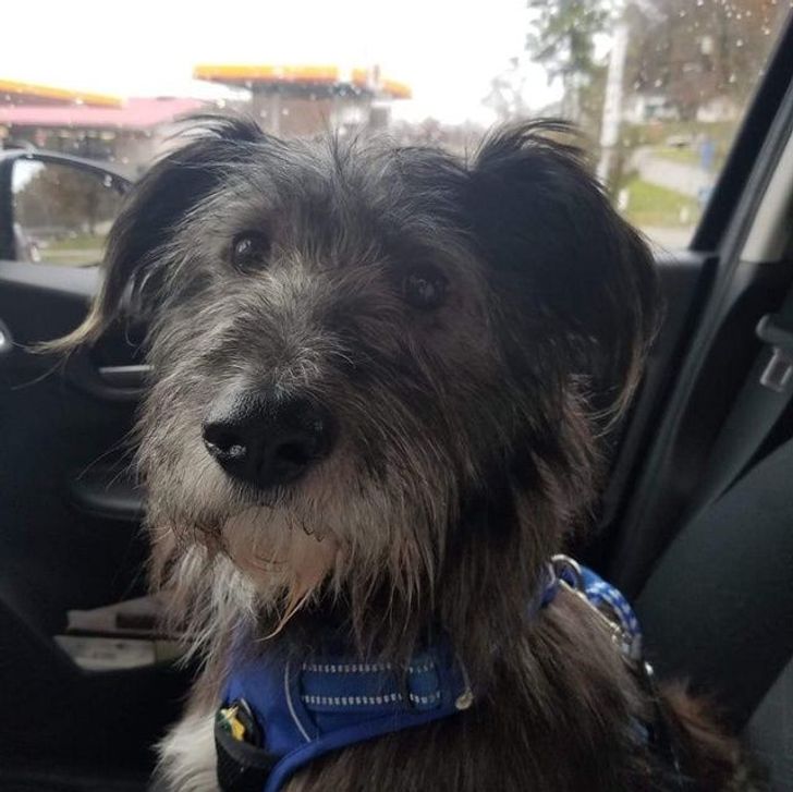 0261a3545c9b0d8030e6ba429a