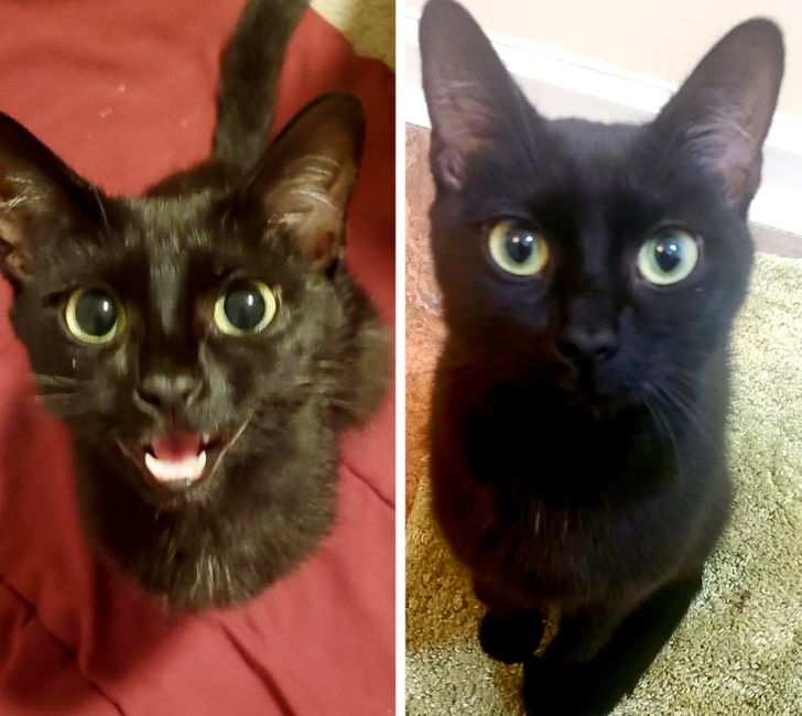 02766b510ab7bb4e21a7901650