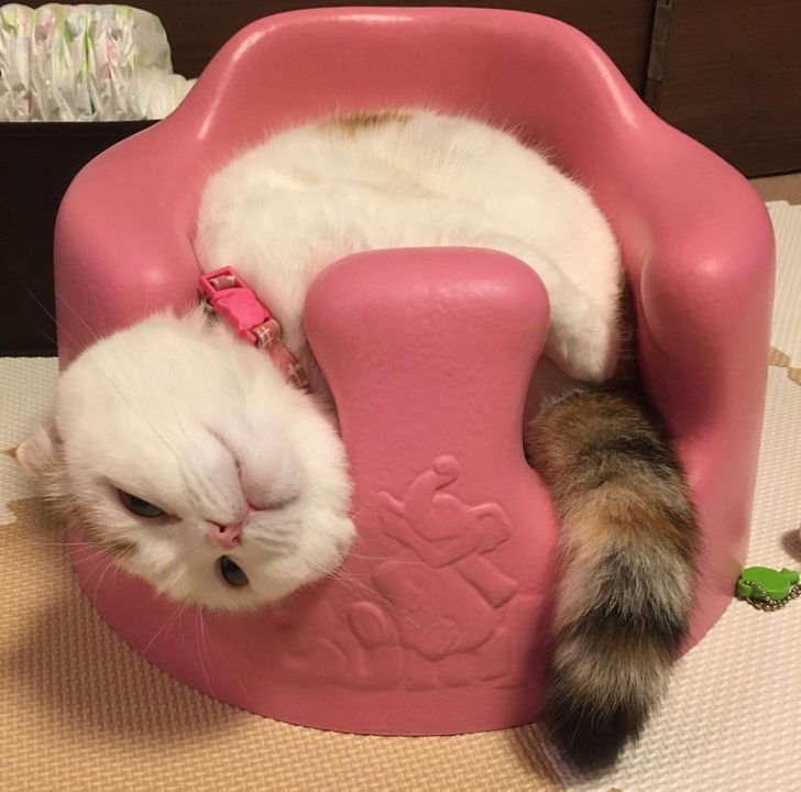 0277fa50fe936d49db1bad3548