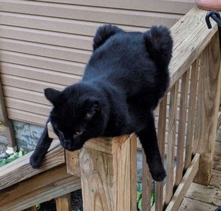 027f2d512891ff3084cdeeb166