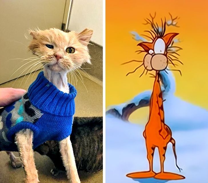 0297ba50bdb9d0a2ba532897e3