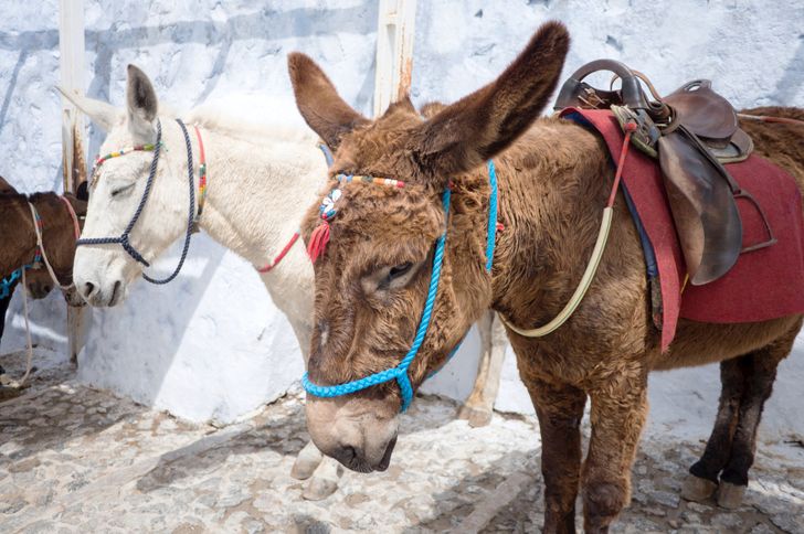 029df45463a526d31e346760c8