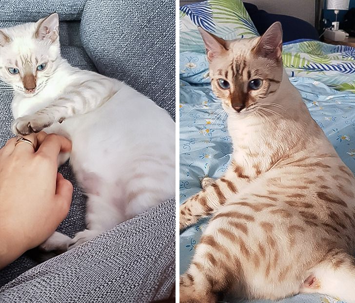 02a40358508fffa80c6b5e5382