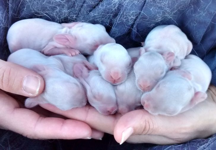 02a8025826a6c7c69ad06fd607