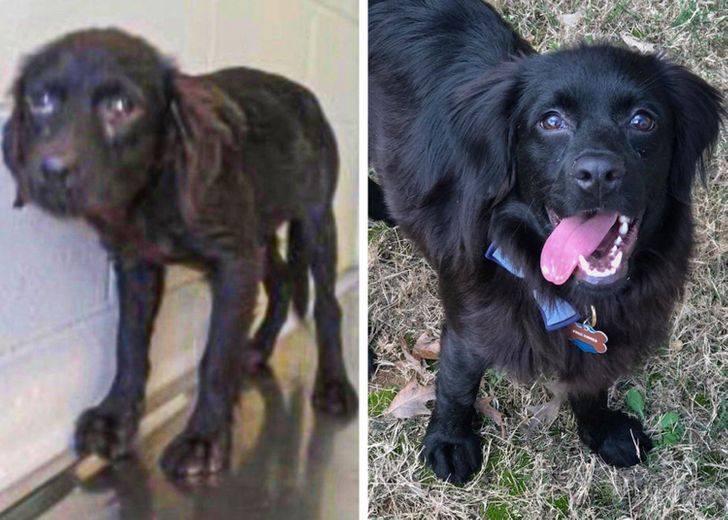 02adb052b19d9230ce91712682