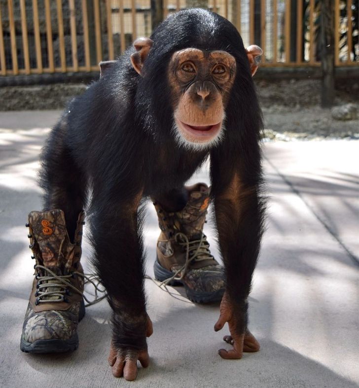 02b0b45e3db4ecadcd7d20dab5