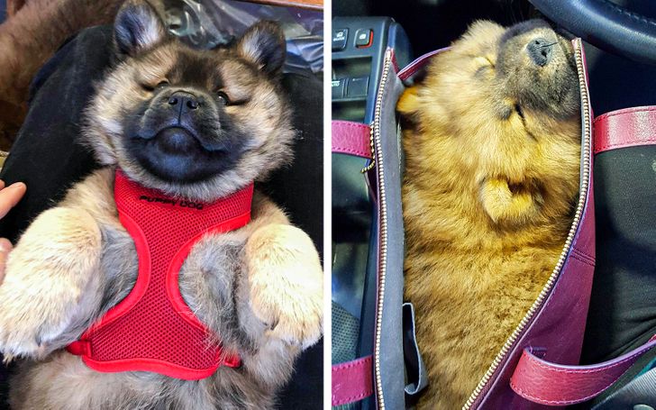 02bffe5ffc876f7ed6118a9840