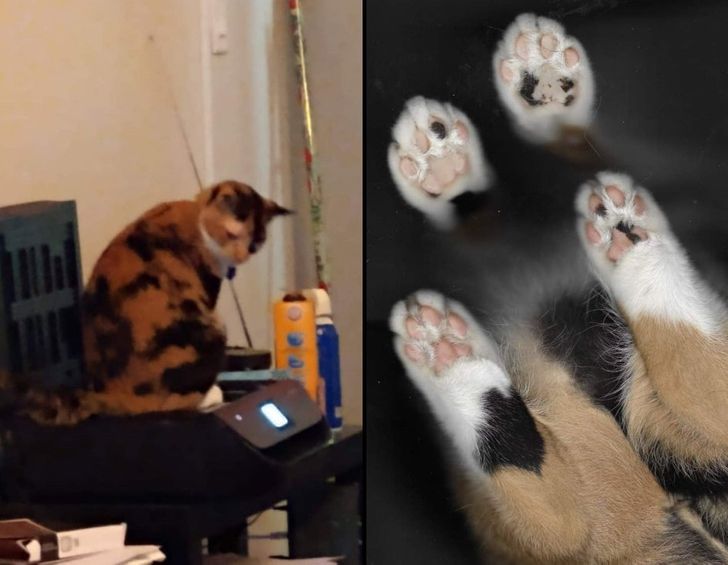 02c693552cabdbe4d308ac2399 02c693552cabdbe4d308ac2399