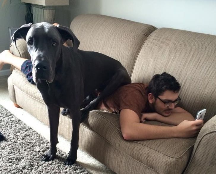 02cb235614b76ba6e4074074d0