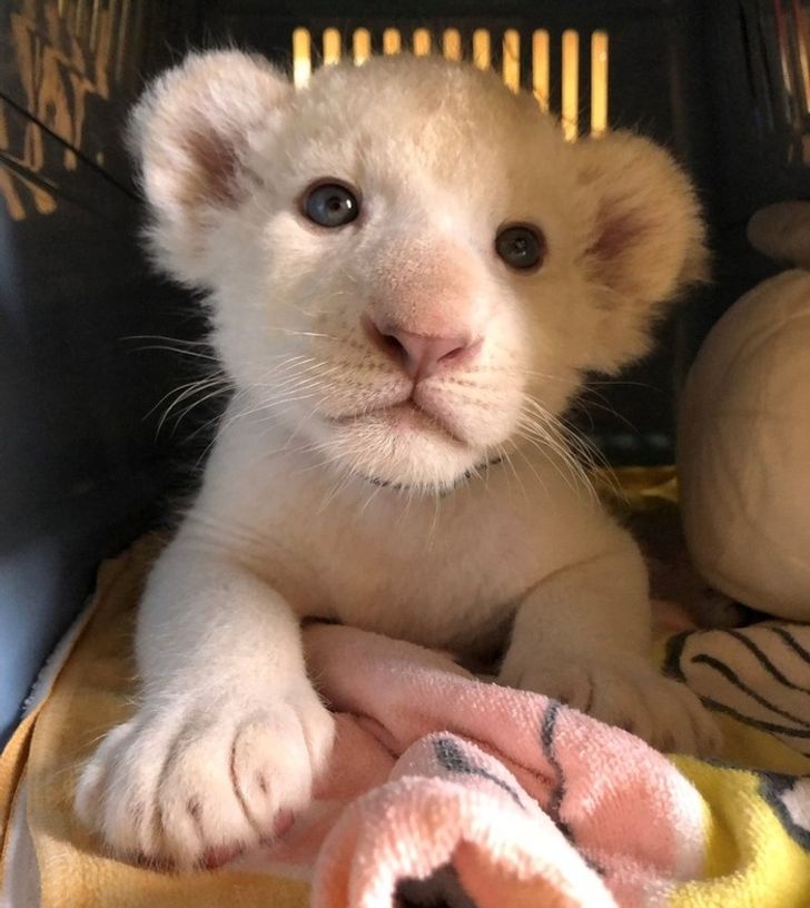 02cbcc560a9679dd99aa023268 02cbcc560a9679dd99aa023268