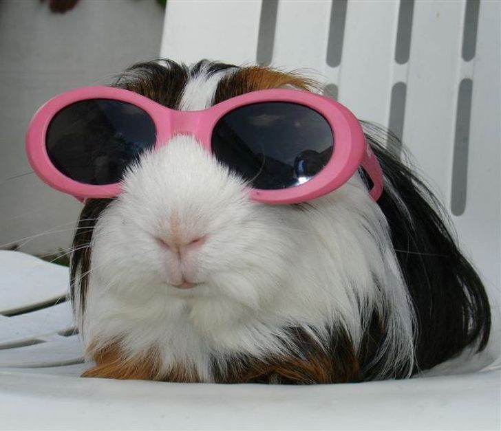 02d8285ed48a10b87ef532876a