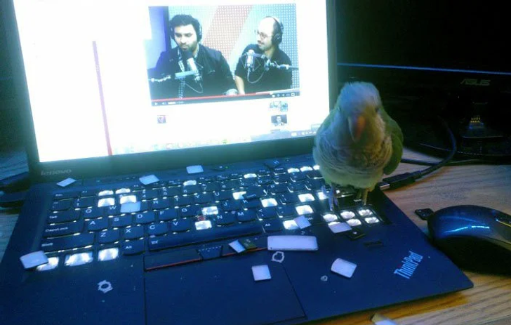 02db49503ca4a595e1d870e30a