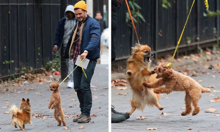 02dd2c5cdf8139d73d415aa2ef