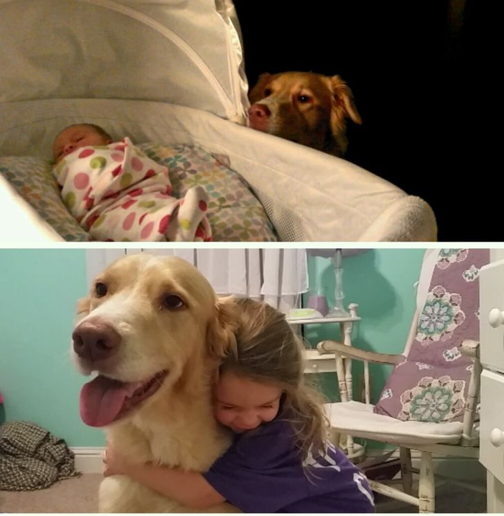 02e0da51b88f6cc5b4f23be068