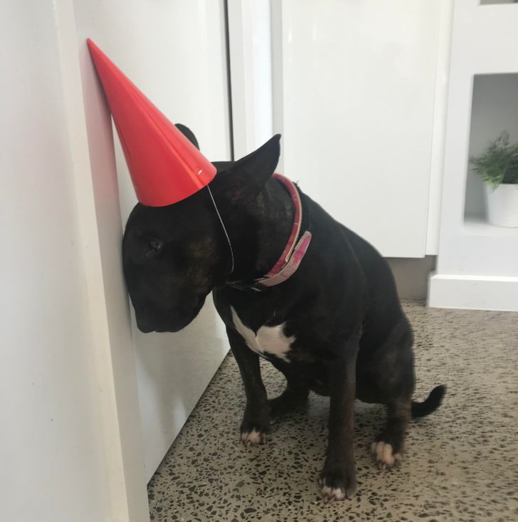 02e6405777a0a2dff4743af427