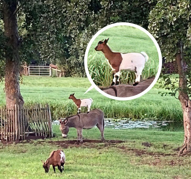 02e7e65ac789b485c8feaf13f2 02e7e65ac789b485c8feaf13f2