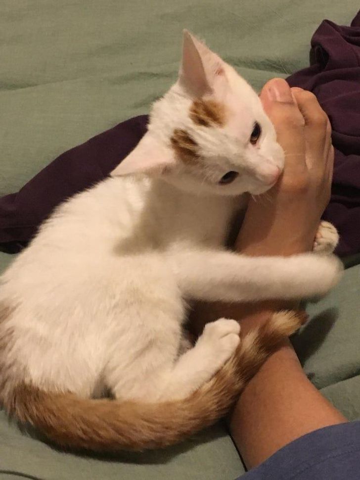 02eb595c5aa1245dce6c135117