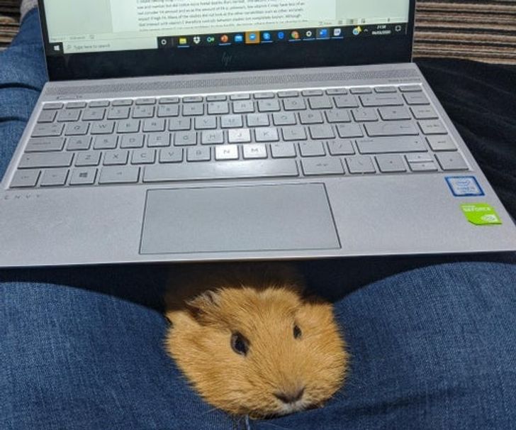 02f2c6542b82ec0c3e5e1b1354