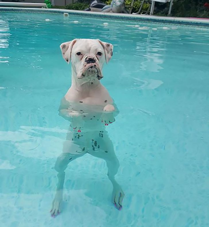 02f38b50f59d2d63f6a0179478