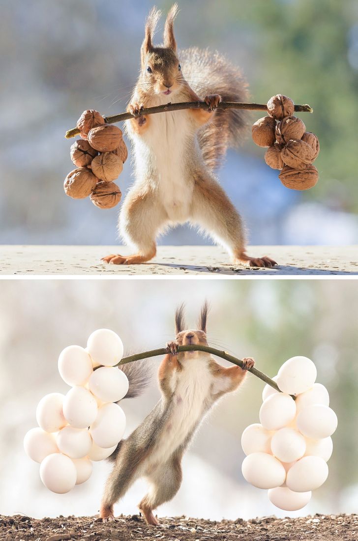 02f43354cba88e71c6940b6e08