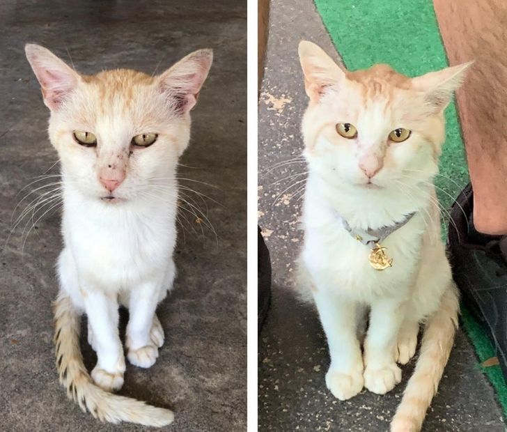 02f76c58009f14b37266fe3537