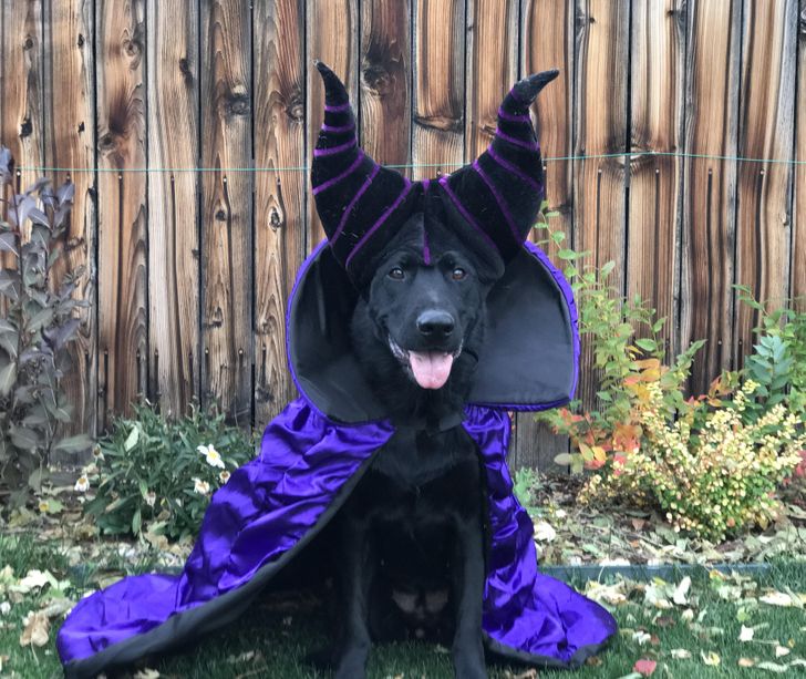 02fed156fdbab1078a31d2f246 02fed156fdbab1078a31d2f246