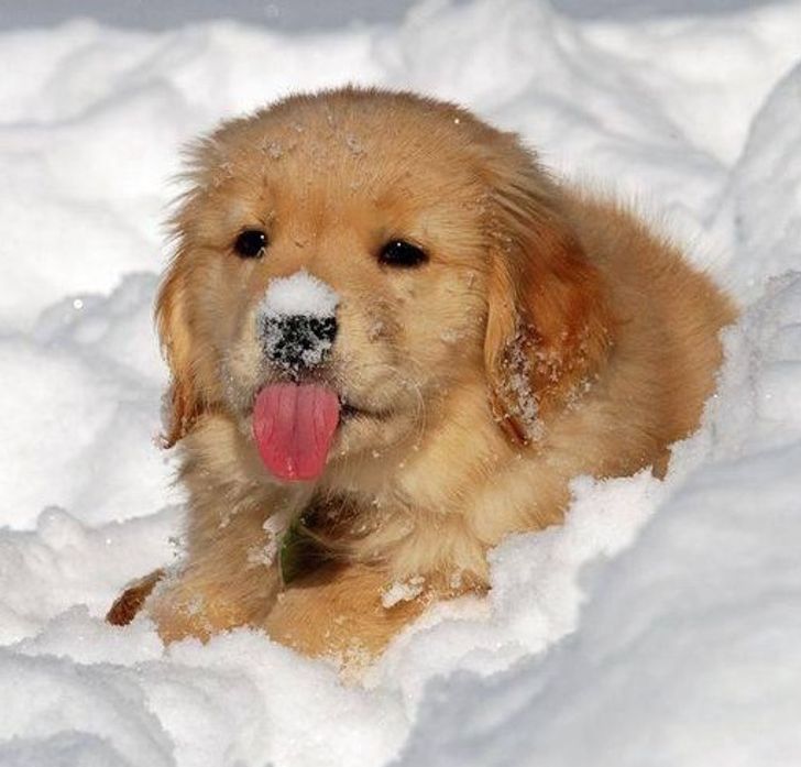 0305015e6990bff42302b04fc5