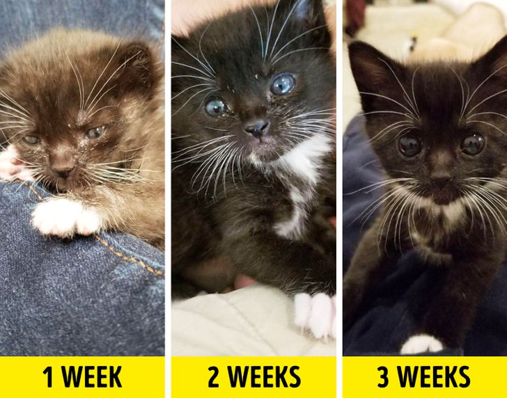 03194555ed90858a16bfc97f62