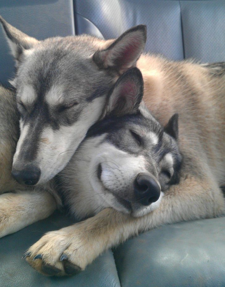 0319ba5c8a99e71cb069a036c8