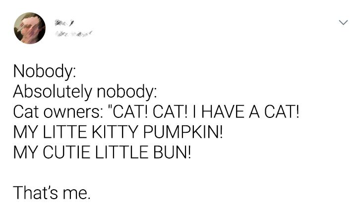 032f8a54e28f9ff0020bace932