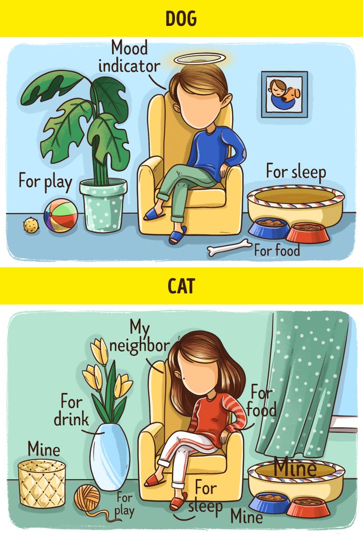 0335a25284a0e2ca2601475fc2