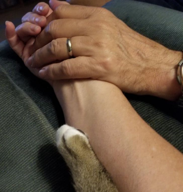 0335e554618b785c06f62cdb80