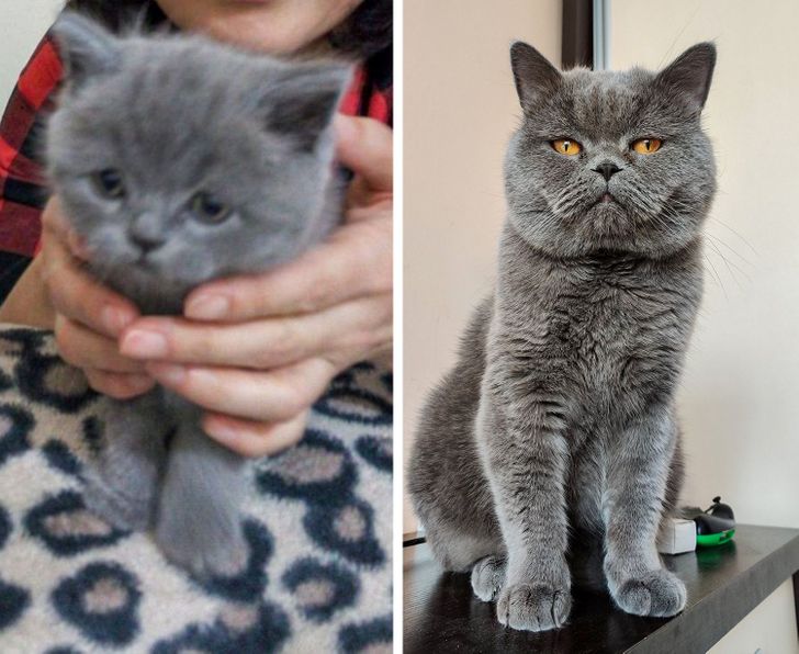 0337c25fcb9f98b7a2ed0a6c51