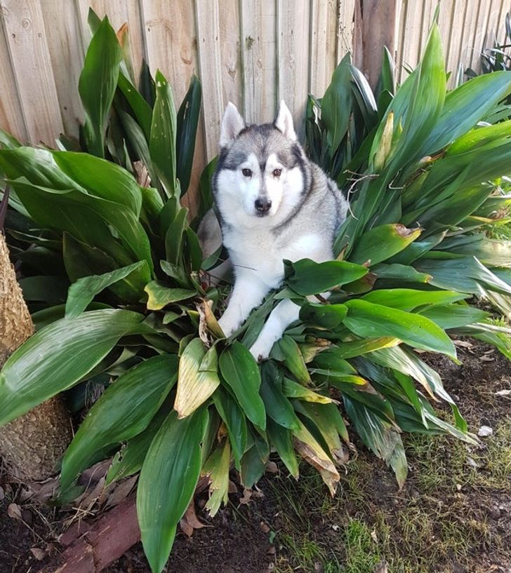 0342f65c9c9b27e32accbce41f