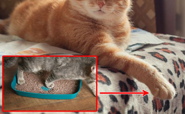 0347a55088afcc63d5baa99695