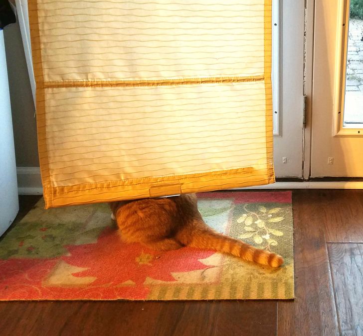 034a075bc6b3abb702863a46ef