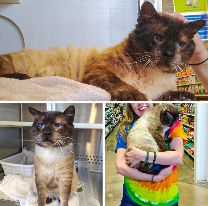 034c315c5e946f974d171b668b