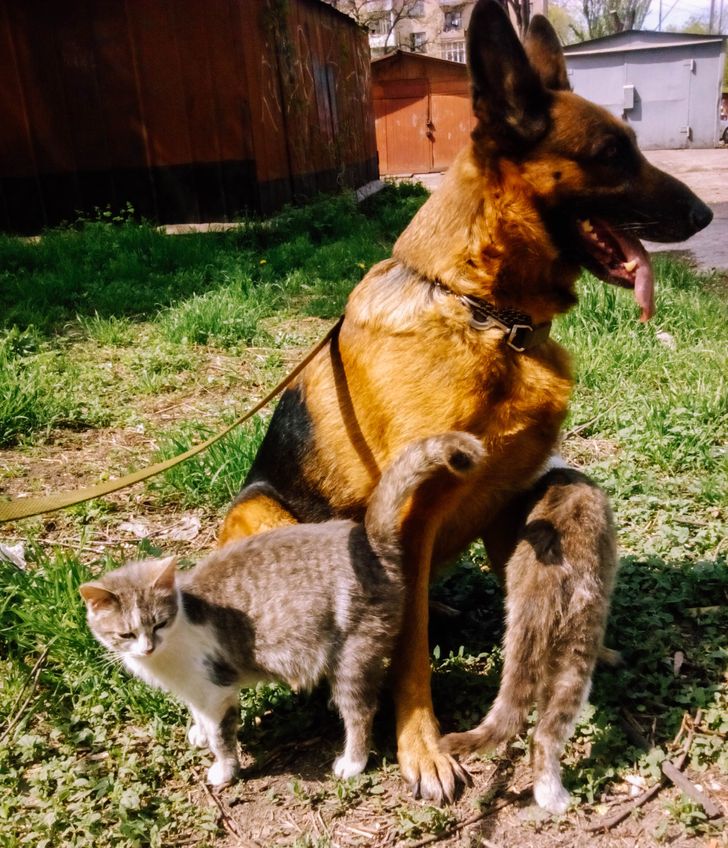 03506b51788aa140026b194bd4