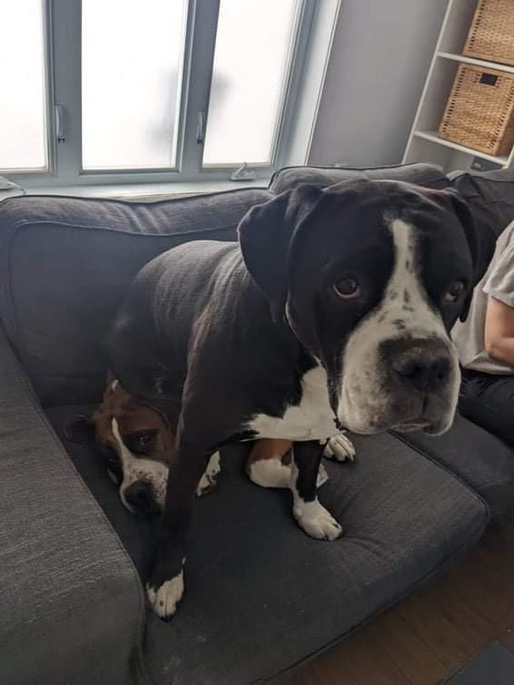 0351325dfca2fcf918d2b02149 0351325dfca2fcf918d2b02149